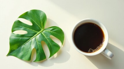 A single vibrant green leaf rests beside a cup of dark coffee, illuminated by sunlight on a minimalist off-white surface.