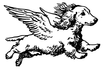 Dog flying on angel wings. Illustration of spaniel in flight