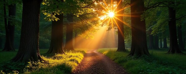 Serene forest park scene at sunrise, sunlight filtering through leaves, illuminating a tranquil path Perfect for nature, travel, and environmental themes , shadows, environment, peaceful