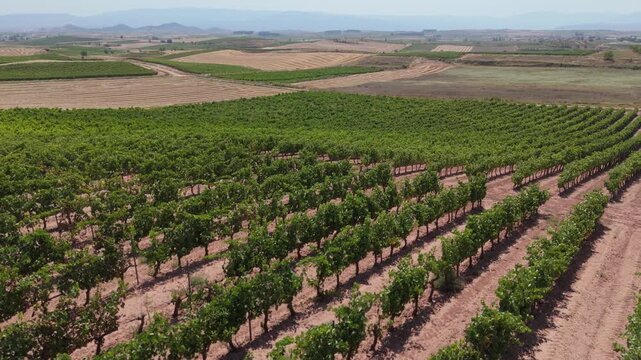 Grapevine fields in Rioja recorded from drone with visible mountain ridges and cultivated land.