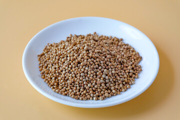 Pile of coriander seeds on white dishwasher.