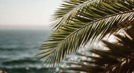 Palm fronds by the sea