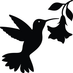 Obraz premium Hummingbird with Flower Silhouette Vector Art