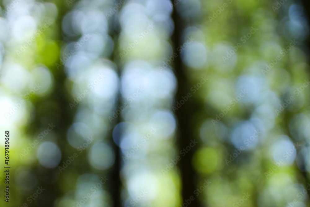 Poster abstract nature bokeh with soft green and blue light patterns