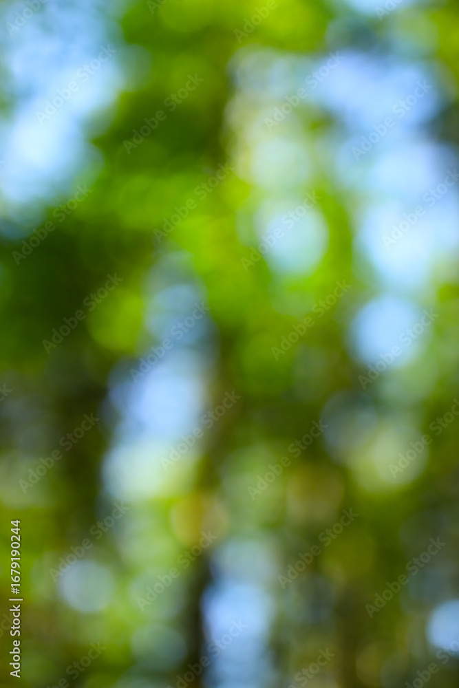 Poster blurred green forest background with bokeh effect