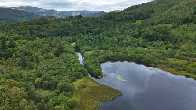 Drone flying over green forest and calm Rydal Water in the English Lake District