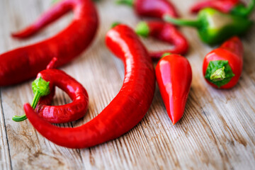 Chilli und Pfefferoni, frisch vom Strauch geerntet - Balkonernte