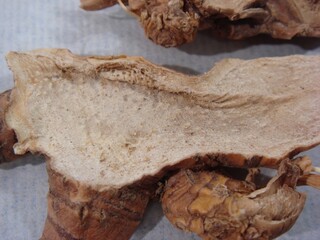 Belamcanda chinensis (Sagan), dried rhizome of blackberry lily used in Korean medicine for throat ailments.