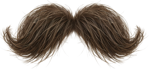 Brown mustache, isolated, studio shot,  costume accessory