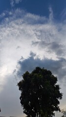 Vertical shot of a tree with dramatic clouds in the sky on a day