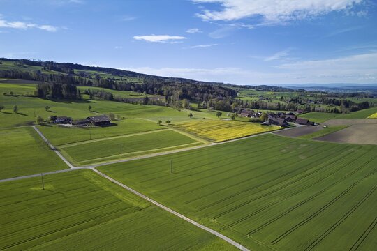 Agricultural arable land and meadows in the hamlet of Winterschwil, Beinwil, Freiamt, Canton, Aargau, Switzerland