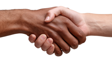 Handshake: A close-up shot of two hands clasped in a firm handshake, symbolizing agreement and cooperation, against a blurred backdrop. 
