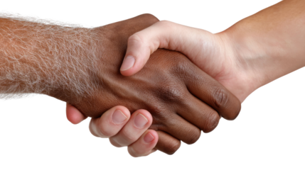 Handshake of Unity: A symbolic handshake showcasing the merging of cultures, races, and partnership, reflecting trust and agreement.