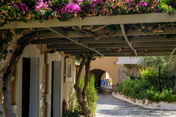 Picturesque scene of a Mediterranean courtyard featuring a pergola draped with vibrant...
