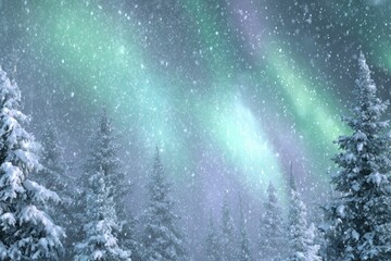 Snowy forest under aurora borealis