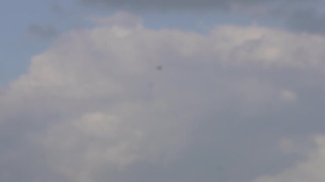 A group of dragonflies are flying against an overcast sky