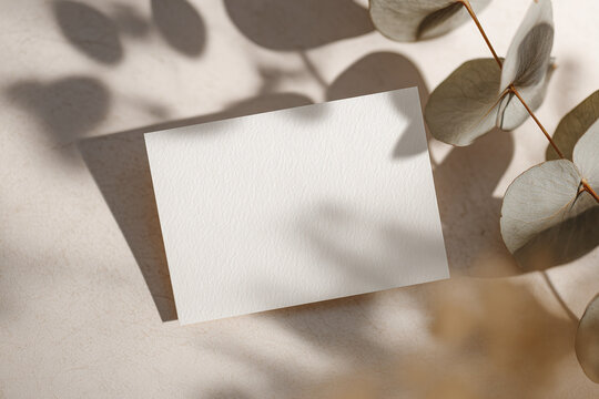 Blank business card on soft surface with eucalyptus leaves 