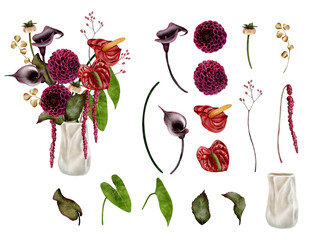 set of Elegant bouquet with anthurium, dahlia and calla flowers in a white vase. watercolor illustration on white background. Perfect for wedding decor, greeting cards, posters and floral design