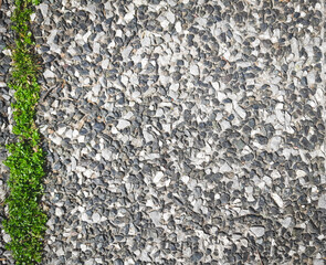 Green grass on asphalt. Background. Space for creative text, advertising. Copy space 