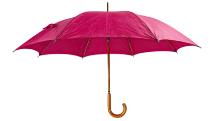 A vibrant magenta umbrella