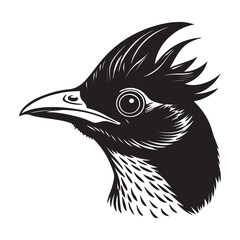 A Majestic Indian Paradise Flycatcher, a Beautiful and Exotic Bird with Vibrant Rusty-Red Plumage Perched in its Natural Forest Habitat