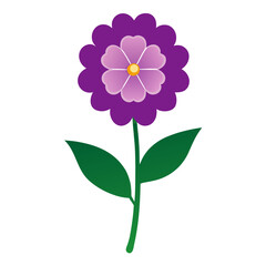  verbena x hybrida vector illustration onn white background