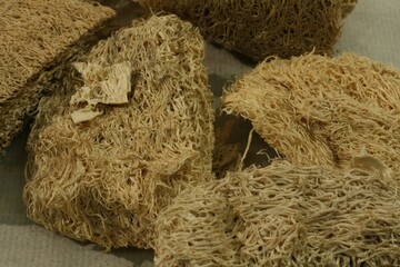 luffa cylindrica, sagualuo, loofah, sponge gourd, herb, medicine, fruit, dried, fibrous, network,...
