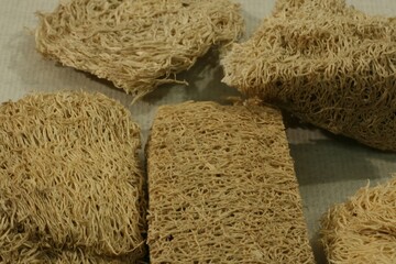 luffa cylindrica, sagualuo, loofah, sponge gourd, herb, medicine, fruit, dried, fibrous, network,...