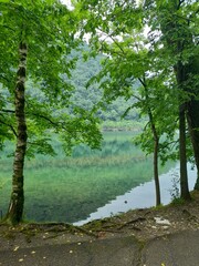 Lago di montagna immerso nella natura incontaminata