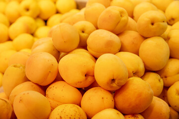 Fresh attractive appetizing apricots. Close-up many apricots on the store counter
