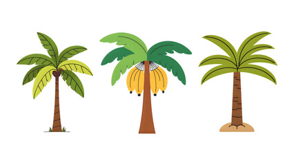 banana tree vector illustration