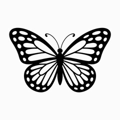 butterfly vector illustration