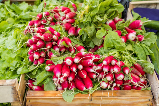 Fresh organic radishes with green leaves in wooden crate at farmers market. Vibrant red and white root vegetables, locally grown produce for healthy eating.