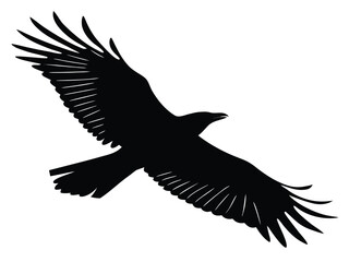 Fototapeta premium eagle vector illustration