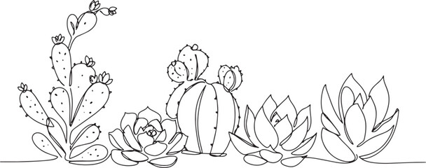 Elegant Continuous Line Drawing of Succulents and Cacti in a Bot