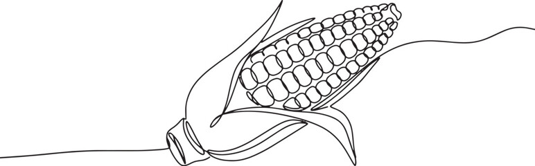 Elegant Single Line Drawing of Ripe Corn on the Cob, Minimalist