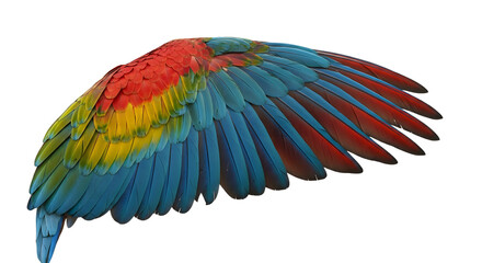 Fototapeta premium Colorful Wing Feathers Isolated on Transparent Background