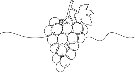 Elegant single line drawing of fresh grapes, a minimalist culina