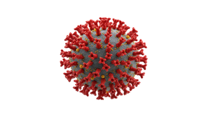 Coronavirus covid pandemic virus disease infection health medical