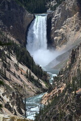 Fototapeta premium Lower Falls, Grand Canyon of the Yellowstone, Wyoming, USA.