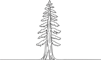 Sequoia tree continuous line drawing against a white background