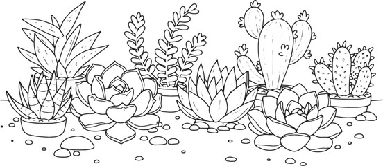 Fototapeta premium Delightful Variety of Succulents in Black and White Cartoon Styl