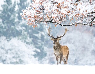 Majestic stag in a snowy forest (1)