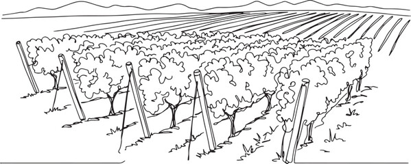 Simple monochrome outline drawing of a vineyard with rows and di