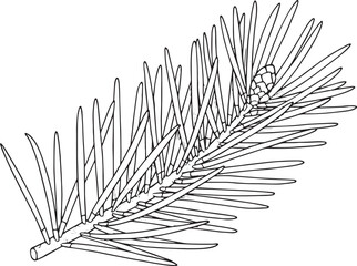 Detailed line art illustration of a pine needle branch with abst