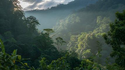 fog in the mountains