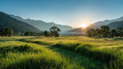 Fototapeta premium Sunrise over a valley meadow