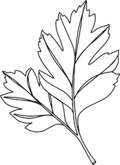 Obraz premium Elegant hawthorn leaf illustration with a clean, minimalist blac