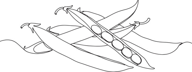 Elegant monochrome illustration of fresh green bean pods in a mi