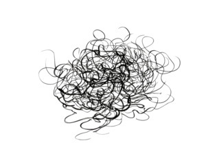 Dark, tangled mass of interwoven lines; specks of color